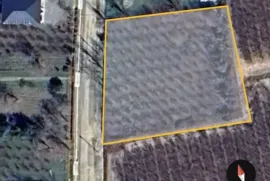 Продается Земля, Специальный