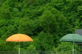 Продается , Гостиница, Гонио