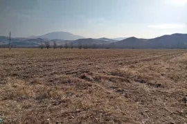 იყიდება მიწის ნაკვეთი, საინვესტიციო, წნისი