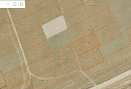 იყიდება მიწის ნაკვეთი, სასოფლო - სამეურნეო, დიდი ლილო