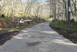 Продается Земля, Сельскохозяйственные, Цинсвла, Челта