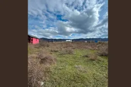 Продается Земля, Навдараанткари