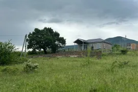 Продается Земля, Навдараанткари