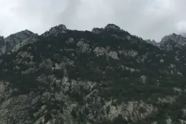 იყიდება მიწის ნაკვეთი, არა სასოფლო - სამეურნეო, სოფ. დიღომი