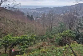 იყიდება მიწის ნაკვეთი, სასოფლო - სამეურნეო