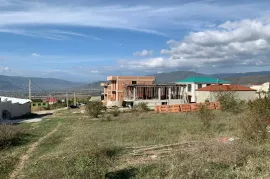 იყიდება მიწის ნაკვეთი, სასოფლო - სამეურნეო, საგურამო