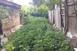 იყიდება მიწის ნაკვეთი, სასოფლო - სამეურნეო, ორხევი