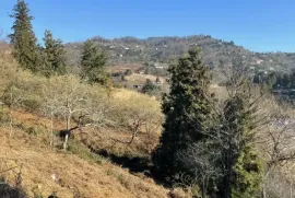 Продается Земля, Сельскохозяйственные, Чакви