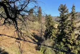 Продается Земля, Сельскохозяйственные, Чакви