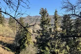 Продается Земля, Сельскохозяйственные, Чакви