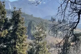 Продается Земля, Сельскохозяйственные, Чакви