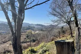 Продается Земля, Сельскохозяйственные, Чакви