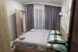 ქირავდება სახლი დღიურად, 3 ოთახიანი, ბორჯომი, ბაკურიანი