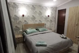 ქირავდება სახლი დღიურად, 3 ოთახიანი, ბორჯომი, ბაკურიანი