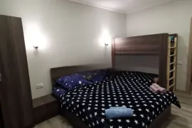 ქირავდება სახლი დღიურად, 3 ოთახიანი, ბორჯომი, ბაკურიანი