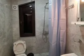 ქირავდება სახლი დღიურად, 3 ოთახიანი, ბორჯომი, ბაკურიანი