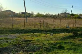 Продается Земля, Сельскохозяйственные, Гвиштиби