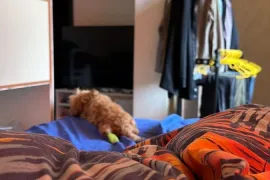 იყიდება ბინა, 1 ოთახიანი, ახალი აშენებული, ბათუმი