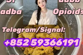 Аренда Дома, 1 Kомнатная, Горийский район