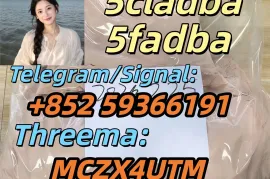 Аренда, 1 Kомнатная, Новостройка, Зестафонский район