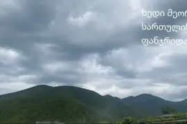 Land For Sale, Agricultural, Zemo Nichbisi