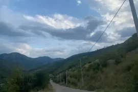 Land For Sale, Agricultural, Zemo Nichbisi