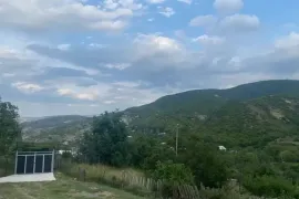 Land For Sale, Agricultural, Zemo Nichbisi