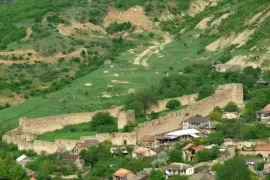 Land For Sale, Agricultural, Zemo Nichbisi