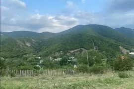 Land For Sale, Agricultural, Zemo Nichbisi