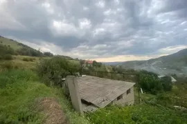 Land For Sale, Agricultural, Zemo Nichbisi