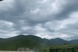 Land For Sale, Agricultural, Zemo Nichbisi