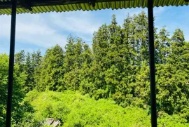 House For Sale, 9 Room, Ozurgeti , Kvemo Natanebi