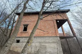 იყიდება სახლი, მცხეთა, ბურიანი