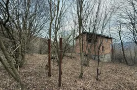 იყიდება სახლი, მცხეთა, ბურიანი