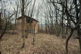 იყიდება სახლი, მცხეთა, ბურიანი