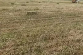 იყიდება მიწის ნაკვეთი, სასოფლო - სამეურნეო, ქვახვრელი