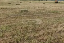 Land For Sale, Agricultural, Qvakhvreli