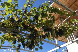 Продается Дом, 11 Kомнатная, Сагареджо, Уджарма