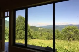 იყიდება სახლი, 1 ოთახიანი, ამბროლაური, ნიკორწმინდა