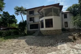 იყიდება სახლი, 10 ოთახიანი, თბილისის შემოგარენი, წყნეთი