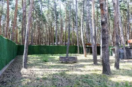 იყიდება სახლი, 10 ოთახიანი, თბილისის შემოგარენი, წყნეთი