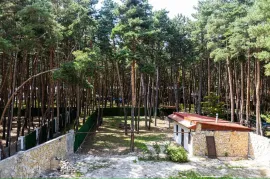 იყიდება სახლი, 10 ოთახიანი, თბილისის შემოგარენი, წყნეთი