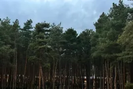 იყიდება სახლი, 10 ოთახიანი, თბილისის შემოგარენი, წყნეთი