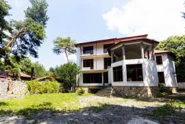 იყიდება სახლი, 10 ოთახიანი, თბილისის შემოგარენი, წყნეთი