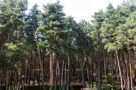 იყიდება სახლი, 10 ოთახიანი, თბილისის შემოგარენი, წყნეთი