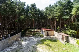 იყიდება სახლი, 10 ოთახიანი, თბილისის შემოგარენი, წყნეთი