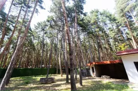 იყიდება სახლი, 10 ოთახიანი, თბილისის შემოგარენი, წყნეთი