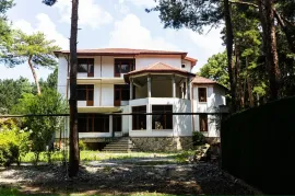 იყიდება სახლი, 10 ოთახიანი, თბილისის შემოგარენი, წყნეთი