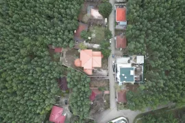 იყიდება სახლი, 10 ოთახიანი, თბილისის შემოგარენი, წყნეთი