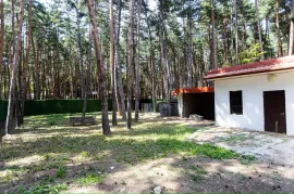 იყიდება სახლი, 10 ოთახიანი, თბილისის შემოგარენი, წყნეთი